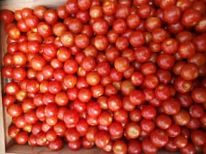 Lee más sobre el artículo Los frutos Rojos más deseados en verano